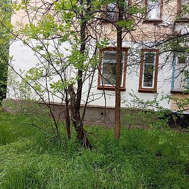 Кыймылсыз мүлк: 3 бөлмө, 59 м², 1 кабат, Косметикалык оңдоо — 2