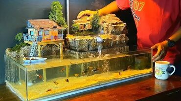Akvarium dekorlarının zövqünüzə uyğun yığılması,İşlərmizin Təbiliyi və