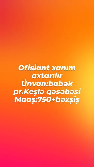 ofisiant xanim teleb olunur: Официант требуется, Паб, Ежедневно оплата, 18-29 лет, До 1 года опыта