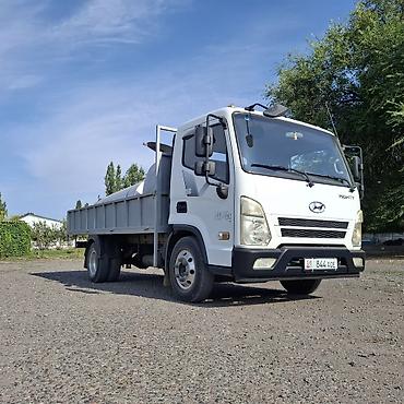 күзгүлөр: Жеңил жүк ташуучу унаа, Hyundai, Стандарт, Колдонулган — 1