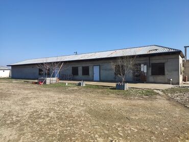 Torpaq sahələrinin satışı: 250 sot, Maklerlər narahat etməsin, Kupça (Çıxarış) -da lalafo.az — 7 Torpaq sahələrinin satışı: 250 sot, Maklerlər narahat etməsin, Kupça (Çıxarış) — 7