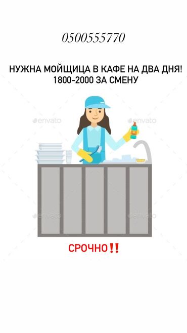 ищу работу посудомойщица с ежедневной оплатой: Требуется Посудомойщица, Оплата Ежедневно