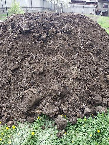 Услуги трала: Грунт, шагыл, топурак, шебень, уй бузмай, катлаван, экскватор кызматы — 4