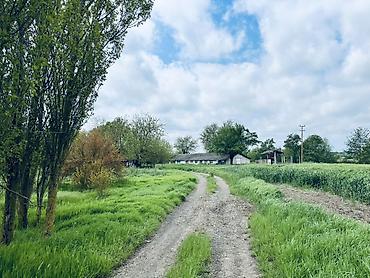 Torpaq sahələrinin satışı: Kənd təsərrüfatı, Kupça (Çıxarış) — 1