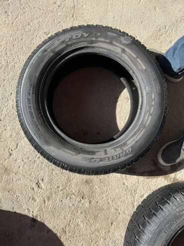 фуры тягач: Шины 195 / 65 / R 15, Зима, Легковые, Toyo