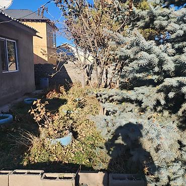 Продажа коттеджей и домов: Продается частный дом с дворовой территорией и хозяйственными — 6