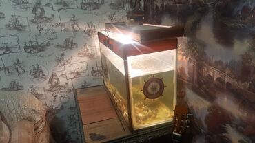 Akvariumlar: Akvarium 100 litir su tutur.2 balıg,filtrle birlikde 60 manat son