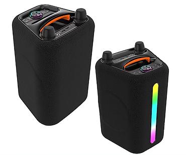 ace pro: КАРАОКЕ СИСТЕМА ДЛЯ ВЕЧЕРИНОК ABS-6205 с 2-мя беспроводными — 2