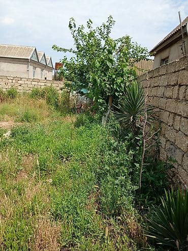 Torpaq sahələrinin satışı: 4 sot -da lalafo.az — 10 Torpaq sahələrinin satışı: 4 sot — 10