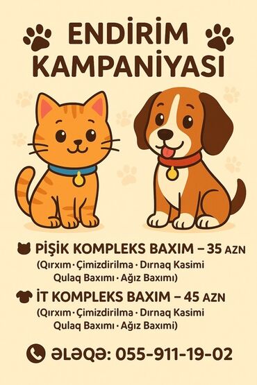 darling pişik yemi: Pişiklər və itlər üçün kompleks baxım xidmətləri təklif olunur. Bu