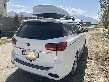 outback 2008: Kia Carnival: 2019 г., 2.2 л, Автомат, Дизель, Минивэн — 3