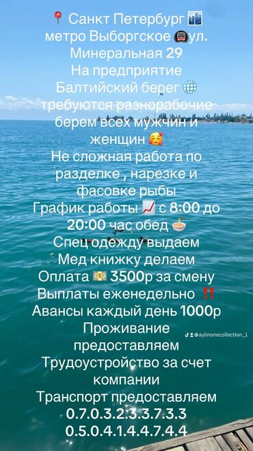 москвага жумушчу керек: Талап кылынат Ар түрдүү жумуштарды жасаган жумушчу, Төлөм Жума сайын, Тажрыйбасыз