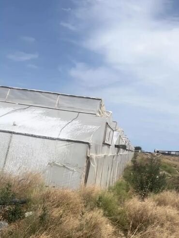 Kommersiya daşınmaz əmlakının satışı: Tecili obyekt satilir!!! Zire Qesebesi, Qishlaqda 2 hektar 20 sot ve — 5