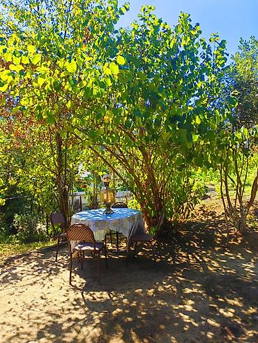 Günlük kirayə evlər: 100 kv. m, 2 otaqlı, Qaz, İnternet, Telefon — 1