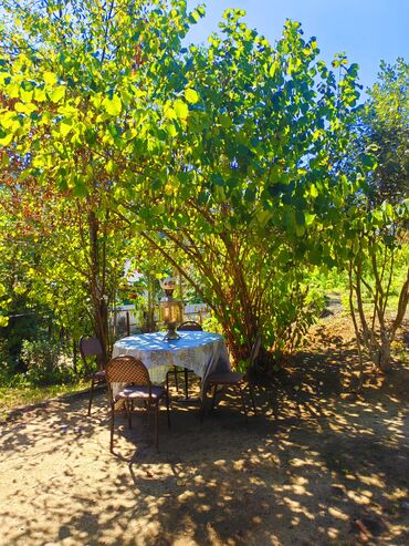 Bağ evlərinin kirayəsi: 100 kv. m, 2 otaqlı, Hovuzsuz, Qaz, İşıq, Su — 1