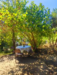 арендую помещение под кафе: 100 м², 2 комнаты, Газ, Электричество, Водопровод