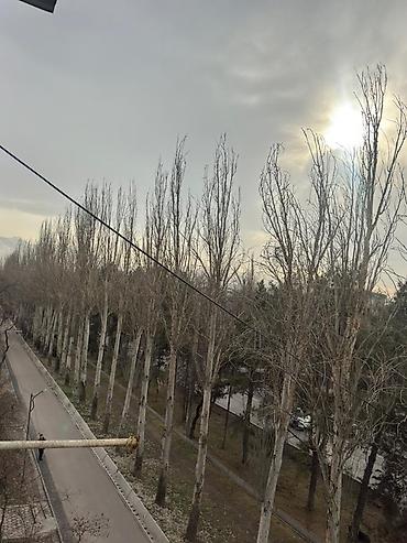 Продажа квартир: 3 комнаты, 58 м², 104 серия, 4 этаж, Евроремонт — 9