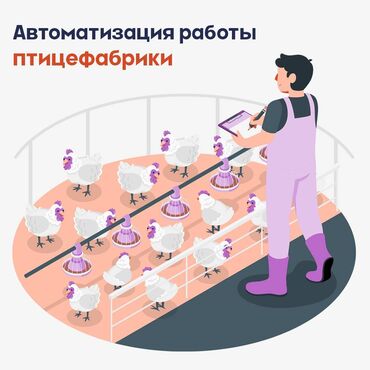 Автоматизация работы птицефабрики.🐔 Теперь учет собранных яиц и