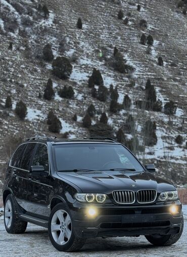 ручка бмв х5: BMW X5: 2004 г., 3 л, Автомат, Бензин, Внедорожник