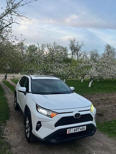 кышкы: Toyota RAV4: 2020 г., 2.5 л, Автомат, Бензин, Кроссовер — 2
