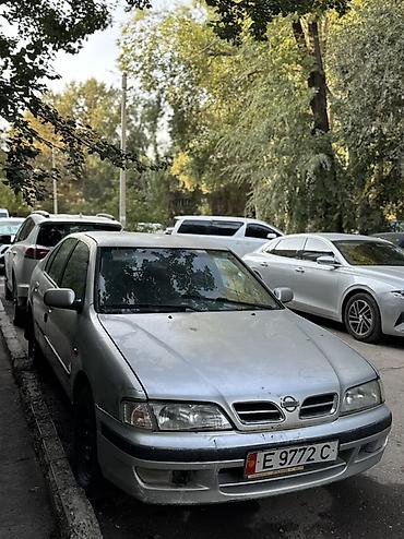 дмрв ниссан: Nissan Primera: 2000 г., 2 л, Механика, Бензин, Седан — 1