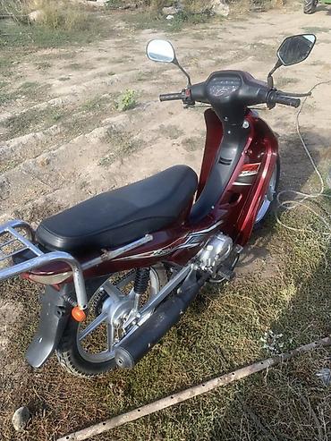 мопеды 50 кубов: Продам мопед-скутер класса Cub (тип Honda Super Cub/Delta) в бордовом — 4