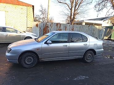Nissan: Nissan Primera: 2001 г., 1.8 л, Механика, Бензин, Хэтчбэк — 2