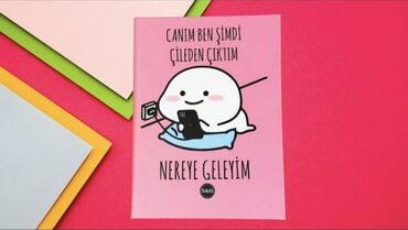 Dəftərlər: Məhsul: Tematik dəftərlər (LABUBU və Harry Potter) - Növlər: - — 8