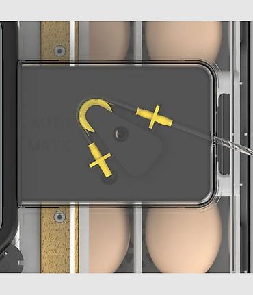 цыпа: Инкубатор Wonegg 48H Компактный интеллектуальный инкубатор для — 3