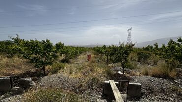 Продажа участков: 400 соток, Для сельского хозяйства, Генеральная доверенность, Договор купли-продажи, Тех паспорт — 5