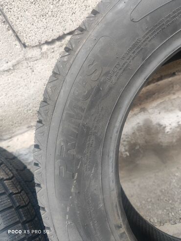 Шины: Шины 215 / 60 / R 16, Зима, Легковые, PRIMUS — 3