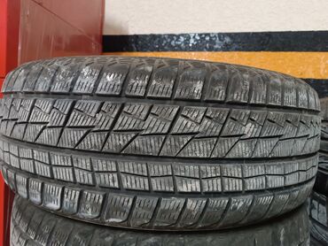 грузовик сапок: Шины 245 / 55 / R 19, Зима, Внедорожные (АТ/МТ), Goform