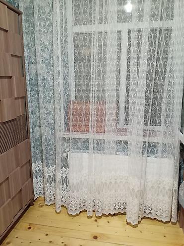 Tələbə qızlara kirayə otaq verilir (xozeykali), kimae qardaşıyla da