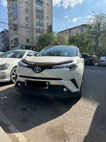 runx alex: Белый Toyota C-HR с черной крышей. Компактный кроссовер с современным