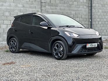 BYD: BYD Seagull: 2024 г., Автомат, Электромобиль, Хэтчбэк — 2