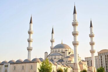 Посуточная аренда комнат: 306 м², С мебелью — 12