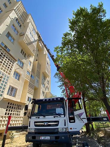 покраска фасада дома: Услуги автогидроподъёмника (автовышки) на шасси грузового автомобиля — 3