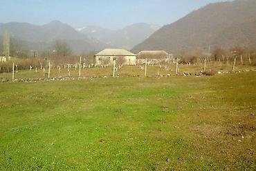 272 sot, Kənd təsərrüfatı, Mülkiyyətçi, Kupça (Çıxarış)