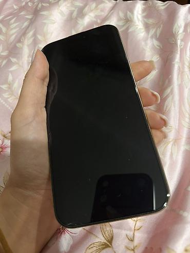 ipad pro 2: IPhone 16 Pro Max, 256 GB, Qızılı, Face ID — 2