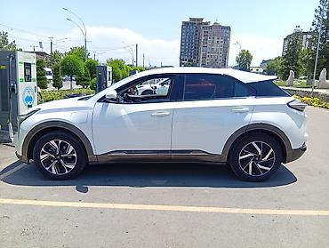 Zeekr: Zeekr : | 2022 г. Кроссовер — 1