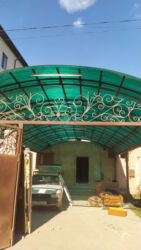 продаю пионы: Продаю 60мин сом