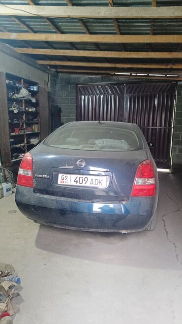 ниссан примера п12 стекло: Nissan Primera: 2003 г., 2.2 л, Механика, Дизель, Седан