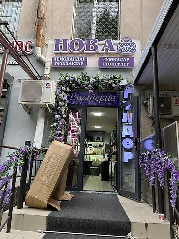 Чемоданы: Чемоданы из полипропилена — на все случаи жизни - Материал: прочный и — 5