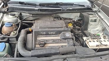 Volkswagen: Volkswagen Golf: 2001 г., 1.6 л, Механика, Бензин, Хэтчбэк — 2