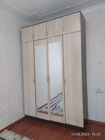 шкаф антресоли: Кийим салуучу шкаф, Колдонулган, Түз, ЛДСП