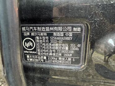 Weltmeister: Weltmeister EX5, 2022 г., 54721 км — 6