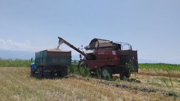 мотоциклы из японии бу: УСЛУГИ ЗИЛ СЕЛЬХОЗ КАРАБАЛТА АРПА(ЯЧМЕНЬ) БУУДАЙ(ПШЕНИЦА)