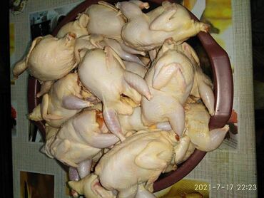 купить червей рядом: Куплю оптом мясоперепелки . Пиште на Вацап рассчет наличными