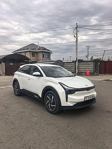 hozon: Hozon Neta U: 2022 г., 0.1 л, Вариатор, Электромобиль, Внедорожник — 5