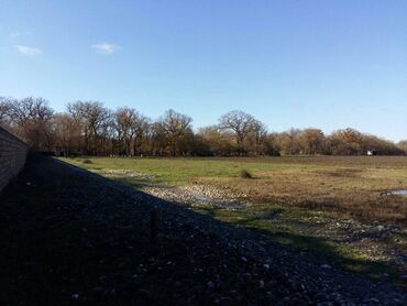 Torpaq sahələrinin satışı: 200 sot, Biznes üçün, Maklerlər narahat etməsin, Kupça (Çıxarış) -da lalafo.az — 3 Torpaq sahələrinin satışı: 200 sot, Biznes üçün, Maklerlər narahat etməsin, Kupça (Çıxarış) — 3